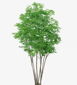 視覺合成與靈感素材 從杰視幫到影視海報設計的全鏈路探索