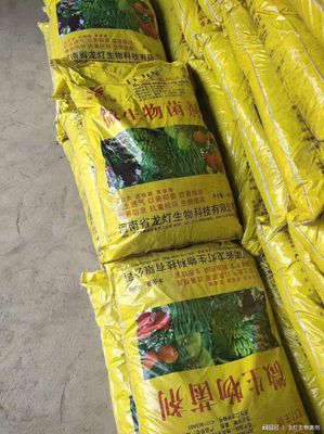 為何國家鼓勵農民使用生物有機肥并給予補貼？答案在這！生物有機肥料研發