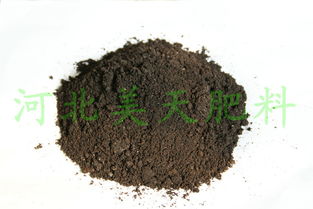 河北美天集團 以科技創新引領質高效生物有機肥料研發，助推綠色農業可持續發展